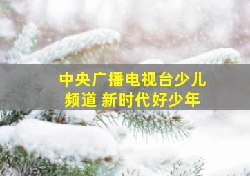 中央广播电视台少儿频道 新时代好少年